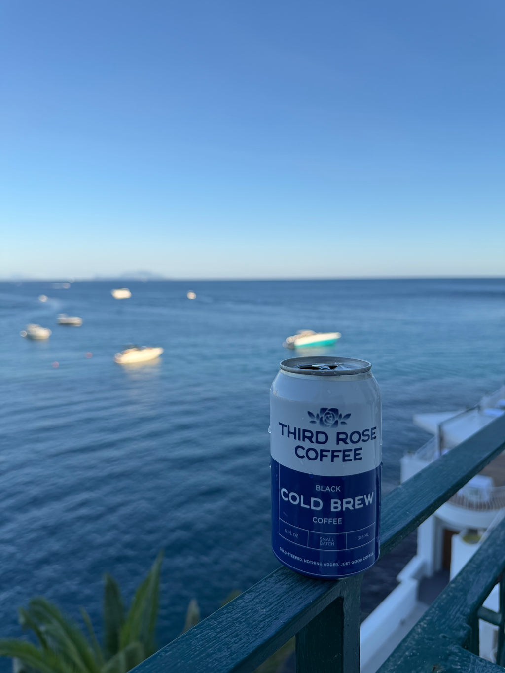 Cold Brew - 12-Pack (Local Delivery - Chicago)